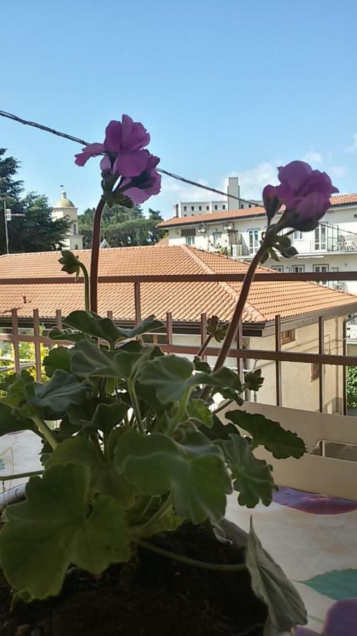 Casa Vacanza Xenia Agerola Zewnętrze zdjęcie
