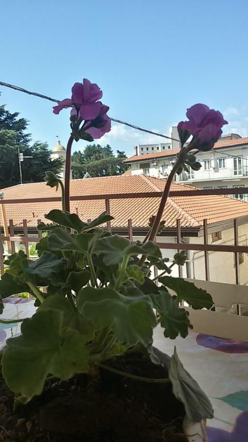 Casa Vacanza Xenia Agerola Zewnętrze zdjęcie